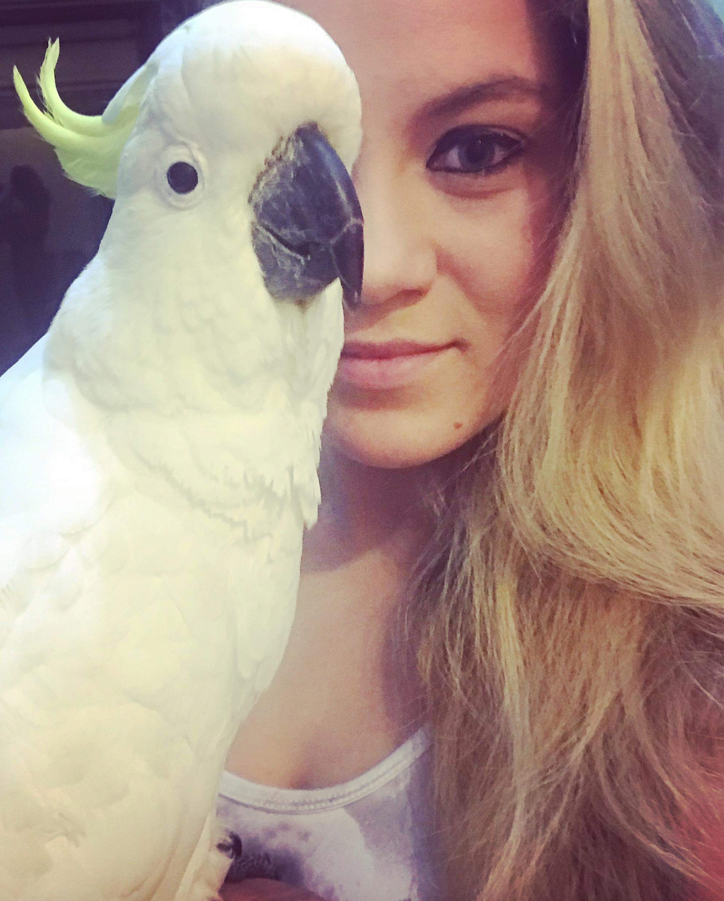 Adopt a Cockatoo